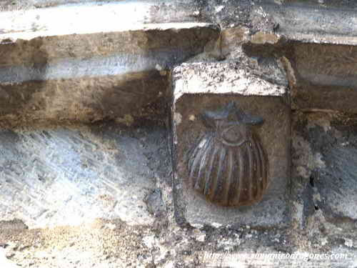 CANECILLO: VENERA